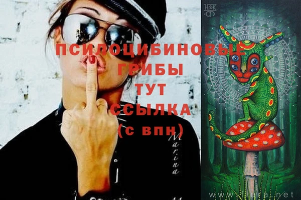 каннабис Алексеевка
