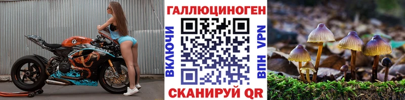 купить наркотик  hydra сайт  Псилоцибиновые грибы Psilocybe  Бирск 